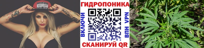 Виды наркоты Узловая Амфетамин Alpha PVP ГАШ Меф мяу мяу Канабис