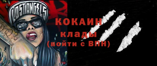 гашик Алексин