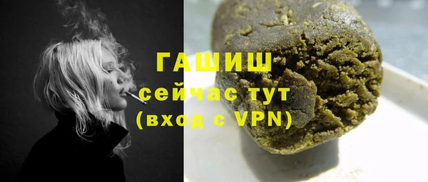 гашик Алексин