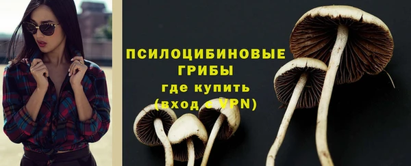гидра Майский