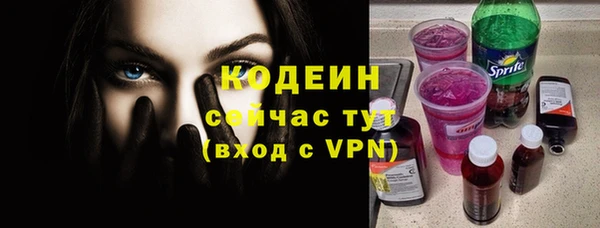 гашик Алексин