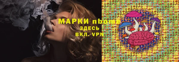 прущие грибы Алзамай