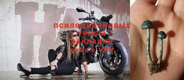 индика Магас
