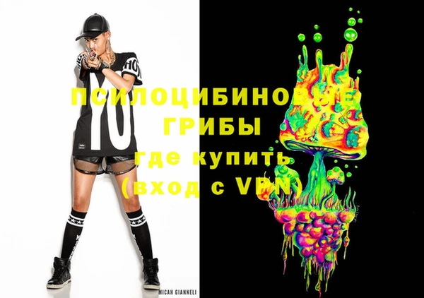 гидра Майский